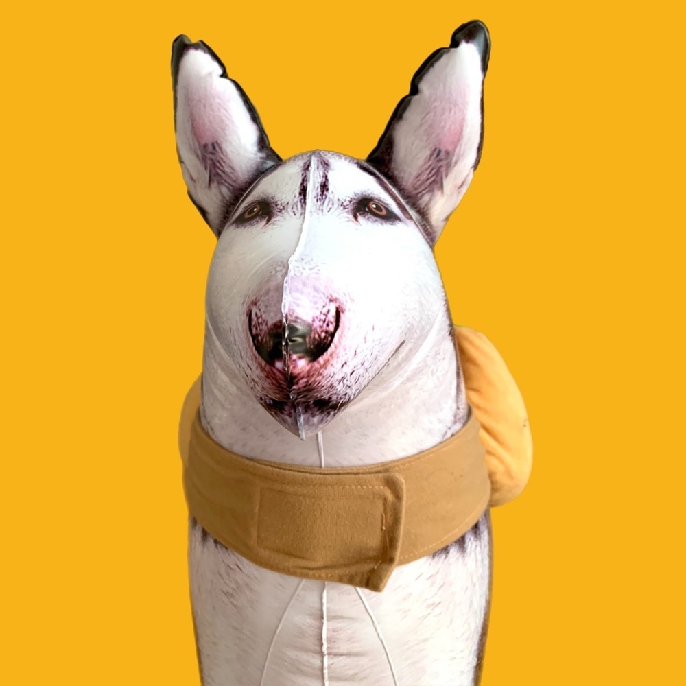 PET HOT DOG COSTUME - Picture 4 of 12